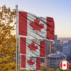 Elbows Up Canada 2025 Flag Never the 51st State
