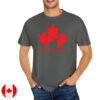 The True North Strong and Free, Stand With Canada T-Shirt